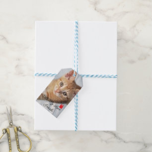 Foto Kätzchen, Text "All meine Liebe drin" ,  Geschenkanhänger