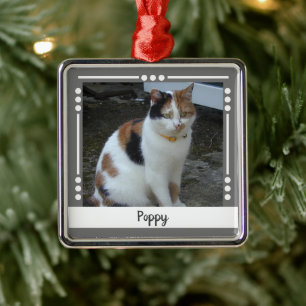 Foto Katze Holiday grau weiß Ornament Aus Metall