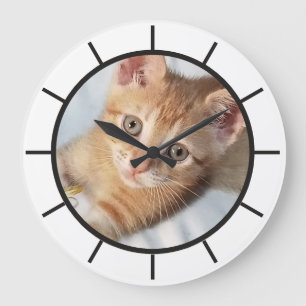 Foto. Katze, Text, austauschbar, Lustig  Große Wanduhr