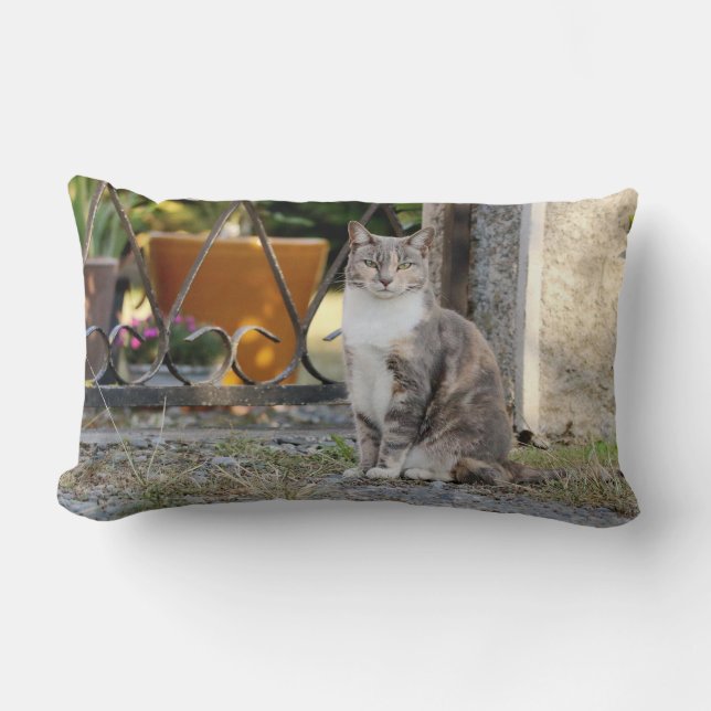 Foto Katze , Tiere . Kissen werfen (Vorderseite)