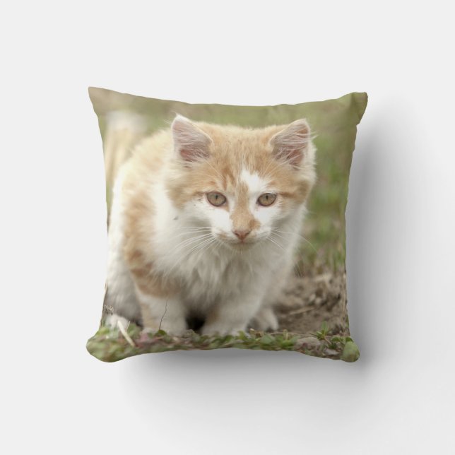 Foto Katze , Tiere . Kissen werfen (Vorderseite)