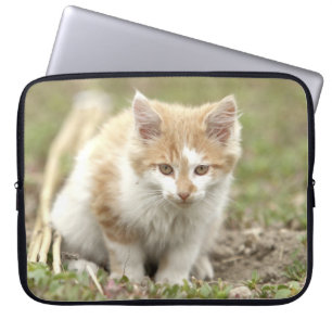 Foto Katze , Tiere Laptop Hüllen . Laptopschutzhülle
