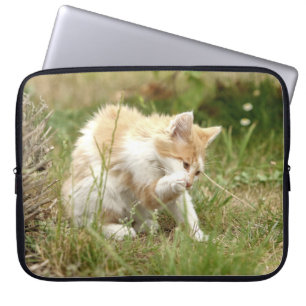 Foto Katze , Tiere Laptop Hüllen . Laptopschutzhülle