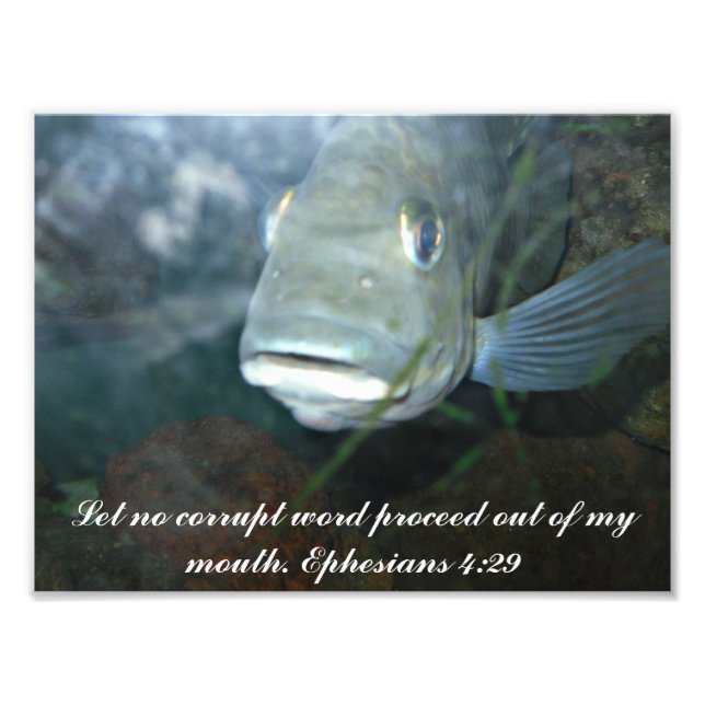 Foto "Kein beschädigtes Wort gelassen" (Vorne)