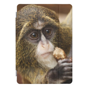 Foto Klettersteig iPad Pro Cover