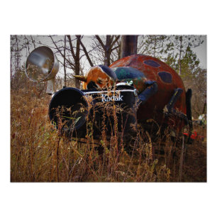 Foto "Lady Behind Camera" drucken