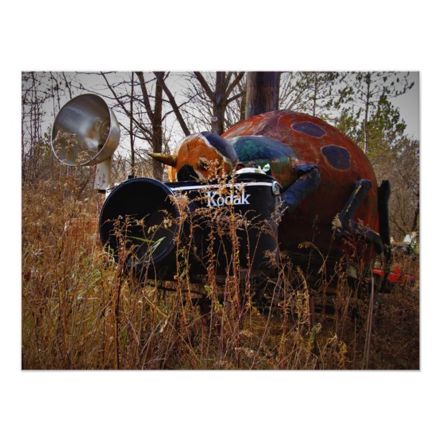 Foto "Lady Behind Camera" drucken (Vorne)