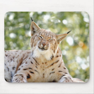Foto-Luchs-Katze Mousepad