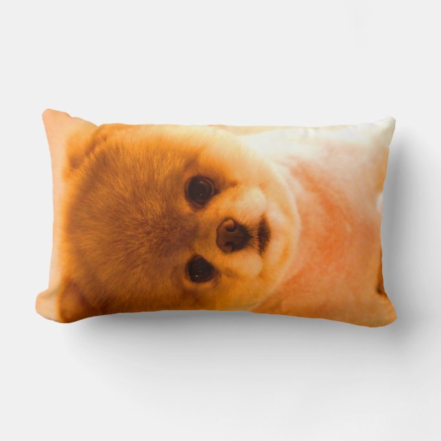 Foto-lumbales Kissen-Geschenk Lendenkissen (Vorderseite)