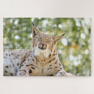 Foto lynx , Haustier , Tiere 0296. Puzzle
