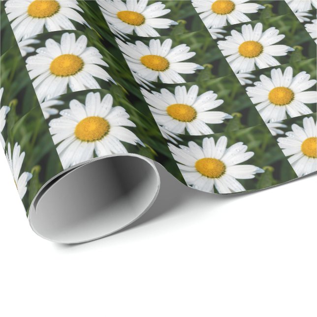 Foto machen ein margueritte, Tropfen Wasser, Grün Geschenkpapier (Rolleneckpunkt)