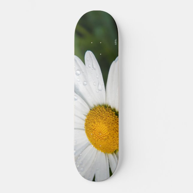 Foto machen ein margueritte, Tropfen Wasser, Grün Skateboard (Vorderseite)