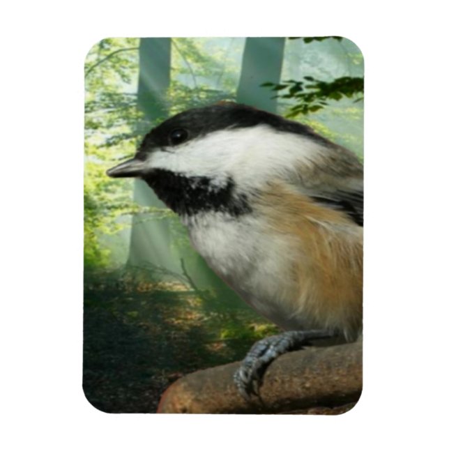 Foto-Magnet 3x4 Magnet (Vertikal)