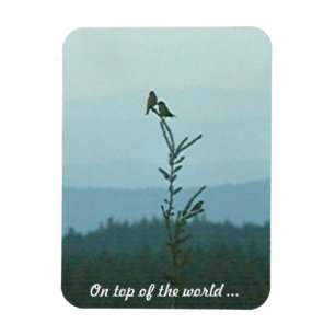 Foto Magnet - Auf der Spitze der Welt ...