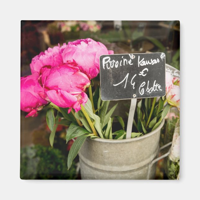 Foto Magnet für Rosa-Blume in Paris (Vorne)