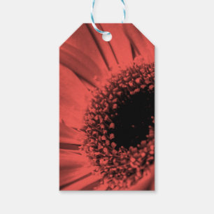 Foto, Makro Geschenkanhänger