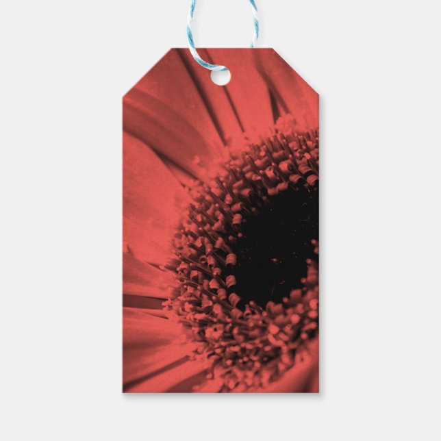 Foto, Makro Geschenkanhänger (Vorderseite)