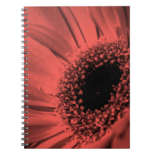 Foto, Makro Notizblock