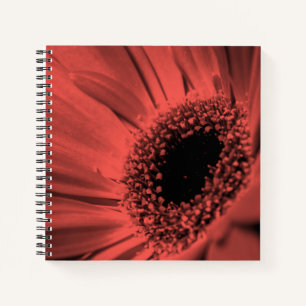 Foto, Makro Notizbuch