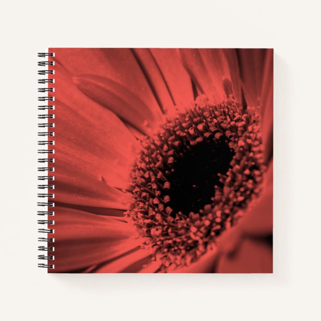 Foto, Makro Notizbuch (Vorderseite)