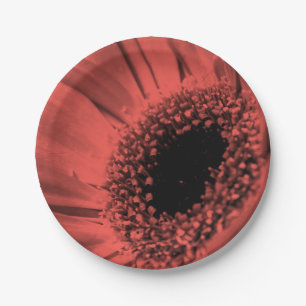 Foto, Makro Pappteller