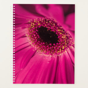 Foto, Makro Planer
