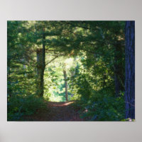Foto-Malerei auf Waldweg Seurat