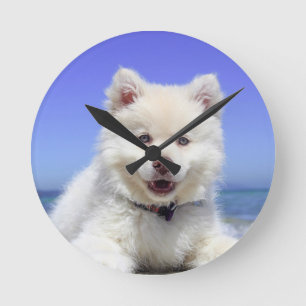 Foto meines Hundes auf der 8" Acrylic Runde große  Wanduhr