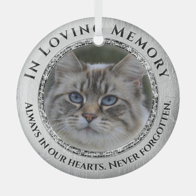 Foto Memorial Cat / Pet Ornament Aus Glas (Vorderseite)
