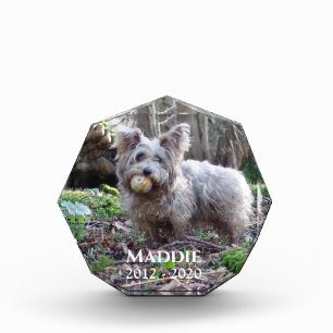 Foto-Memorial mit Name und Datum Fotoblock