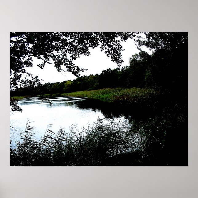 Foto mit Bäumen und Schilf Poster (Vorne)