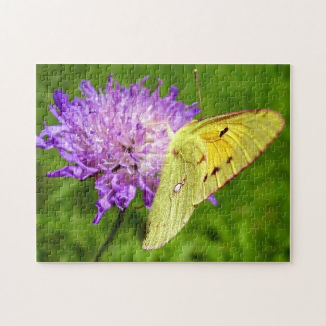 Foto mit getrübtem Gelbschmetterling Puzzle und Ge (Horizontal)
