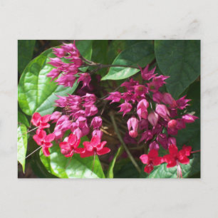 Foto mit roter Blutung Postkarte