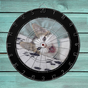 Foto mit schwarzer Umrandung und Kreis Dartscheibe