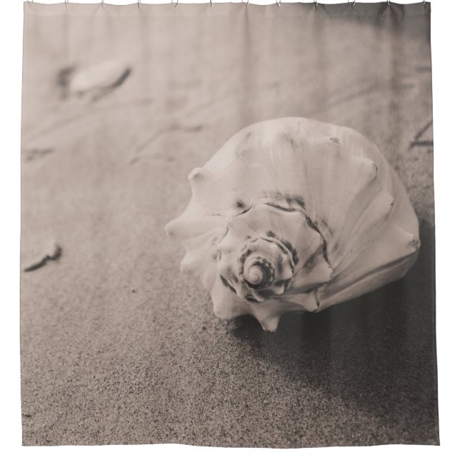 Foto mit weißer Muschel auf Sand Duschvorhang (Vorderseite)