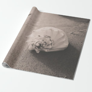 Foto mit weißer Muschel auf Sand Geschenkpapier