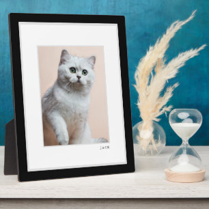 Foto   Modernes Schwarz-Weiß-Rahmen-Pet Fotoplatte