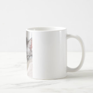 Foto Moira (Katze) Kaffeetasse