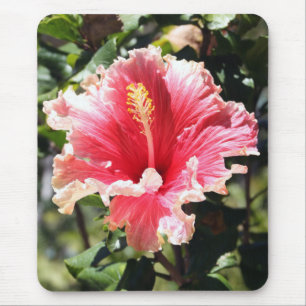 Foto Mousepad in rosa und pfirsichfarbenen Hibiske