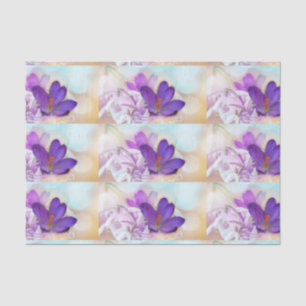 Foto Muster eines Hübschen Lila Frühlings Crocus Seidenpapier