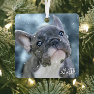 Foto + Name 🐶🐱 Personalisiert Bester Hund oder W Ornament Aus Metall