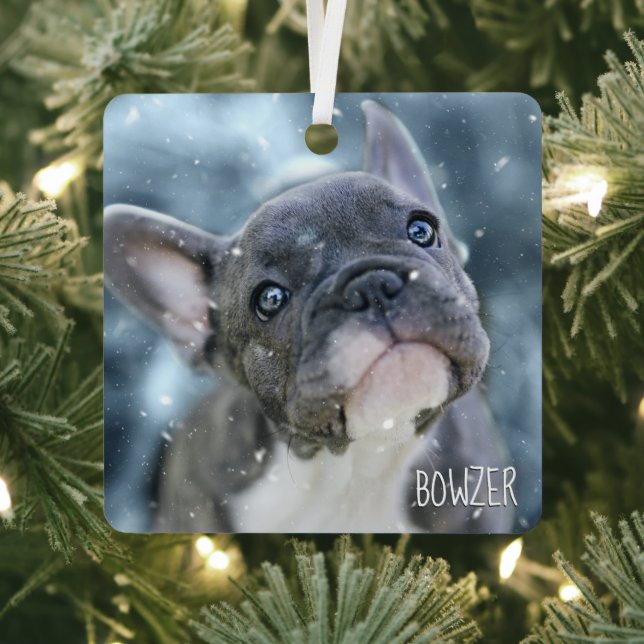 Foto + Name 🐶🐱 Personalisiert Bester Hund oder W Ornament Aus Metall (InSitu)