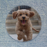 Foto | Niedlicher Adorable Hund hochladen Button<br><div class="desc">Individuelles Foto entwerfen Sie Ihre eigene Vorlage, um Ihr Lieblingsfoto Ihres Hundes, Ihrer Katze, Haustiere, Babys, Kinder, Familie oder Freunden einzuschließen! Eine leicht zu personalisierende Vorlage, um Ihr eigenes Design mit Ihrem eigenen Bild zu gestalten. Das perfekte Geschenk für einen geliebten! Das abgebildete Bild dient nur zur Veranschaulichung, um durch...</div>