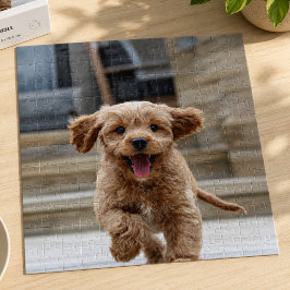Foto | Niedlicher Adorable Hund hochladen Puzzle