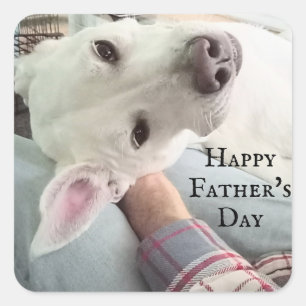 Foto Niedlicher Hund Bester Vater Pal je Blue Deni Quadratischer Aufkleber