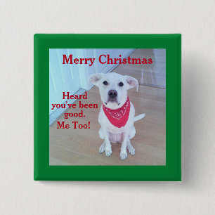 Foto Niedlicher Hunde mit sonnigen Ohren Button