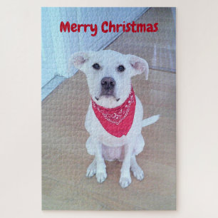 Foto Niedlicher Hunde mit sonnigen Ohrklemmen Puzzle