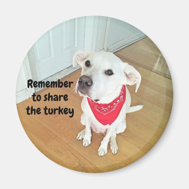 Foto Niedlicher Junghunde mit sonnigen Ohren Magnet (Vorne)