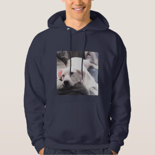 Foto Niedlicher Kartoffelhund mit Vater Navy Blue Hoodie