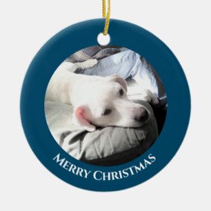 Foto Niedlicher weißer Welpenhund mit Vater Blue C Keramik Ornament